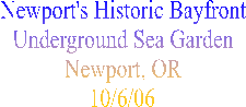 Newport's Historic Bayfront
Underground Sea Garden
Newport, OR
10/6/06