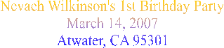 Nevaeh Wilkinson's 1st Birthday Party
March 14, 2007
Atwater, CA 95301